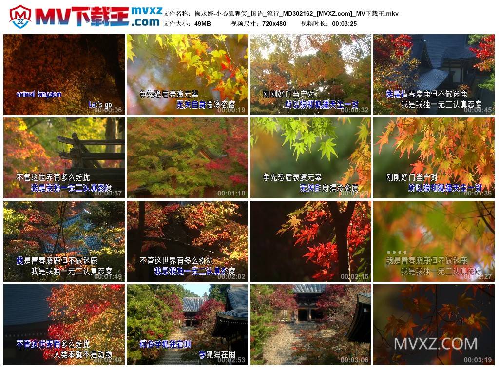 操永婷-小心狐狸笑_国语_流行_MD302162